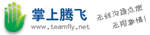 掌上腾飞